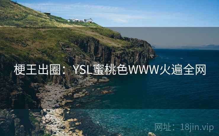 梗王出圈:YSL蜜桃色WWW火遍全网